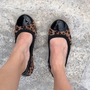 Leopard suede patent toe cap flexible flats